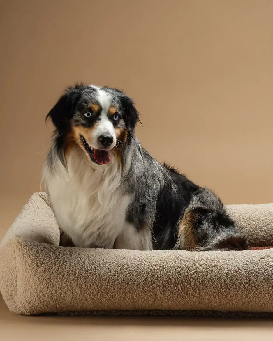 wigiwama-haustier-kuschelbett-l-biscuit-wendbares-teddy-hundebett image 3