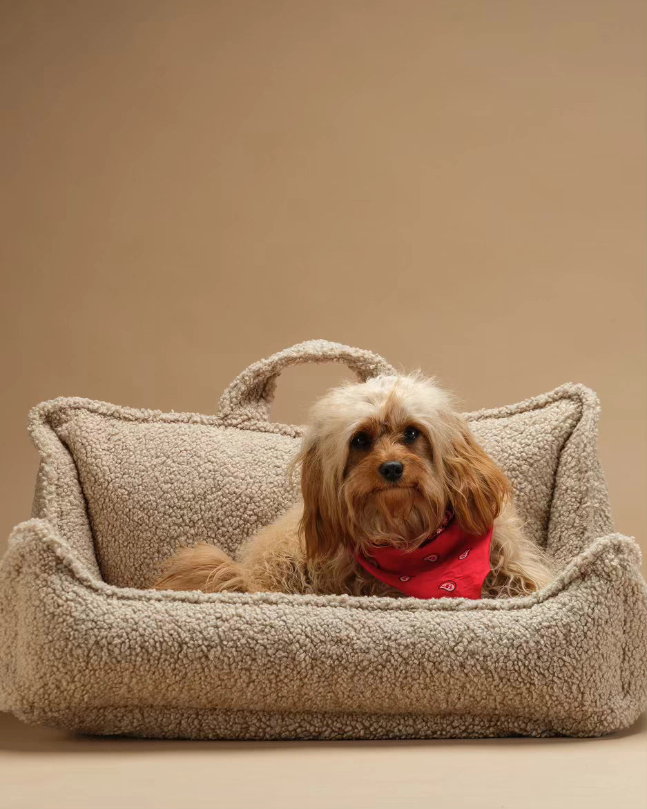 wigiwama-biscuit-pet-club-chair-m-hundebett-aus-teddy image 2
