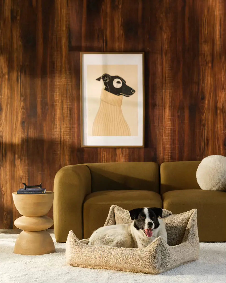 wigiwama-biscuit-haustierclub-stuhl-l-designer-hundebett-aus-teddy image 2