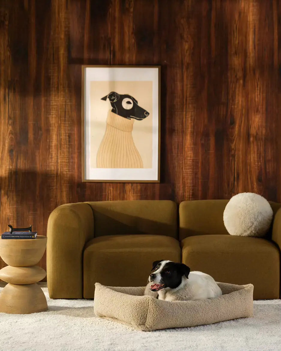 wigiwama-haustier-kuschelbett-l-biscuit-wendbares-teddy-hundebett image 2