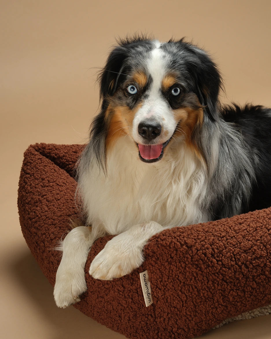 wigiwama-warm-hazel-haustier-kuschelbett-l image 3