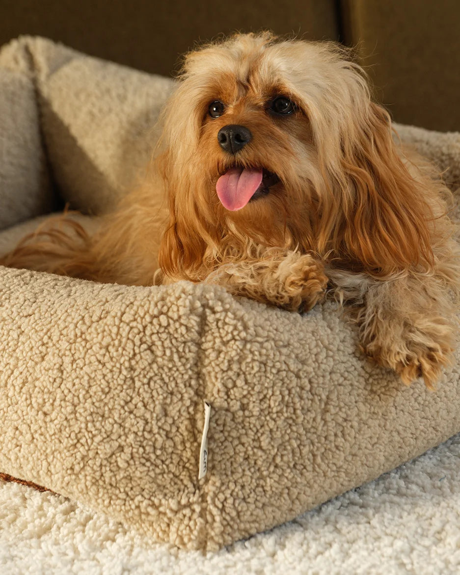 wigiwama-haustier-kuschelbett-m-biscuit-teddy-wendbares-hundebett image 2