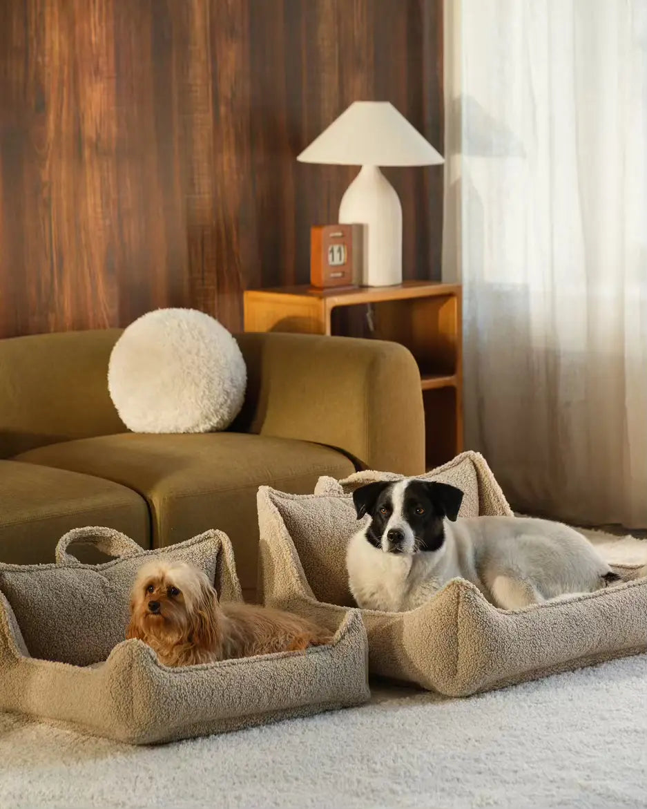 wigiwama-biscuit-pet-club-chair-m-hundebett-aus-teddy image 5