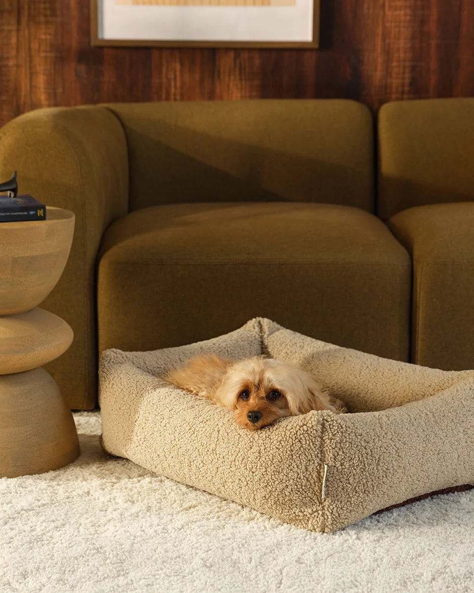wigiwama-haustier-kuschelbett-m-biscuit-teddy-wendbares-hundebett image 5