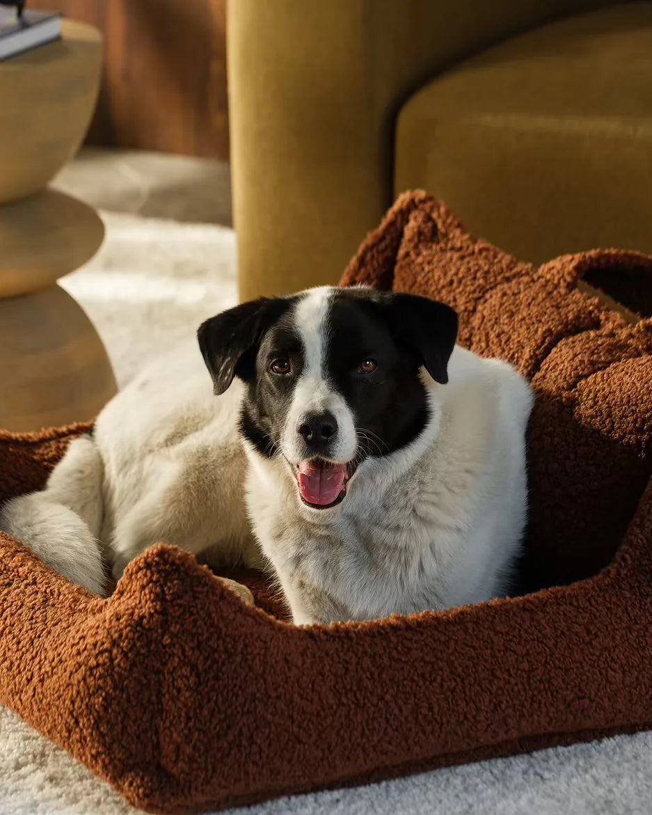 wigiwama-warm-hazel-haustierclub-stuhl-l-designer-hundebett-teddy image 5
