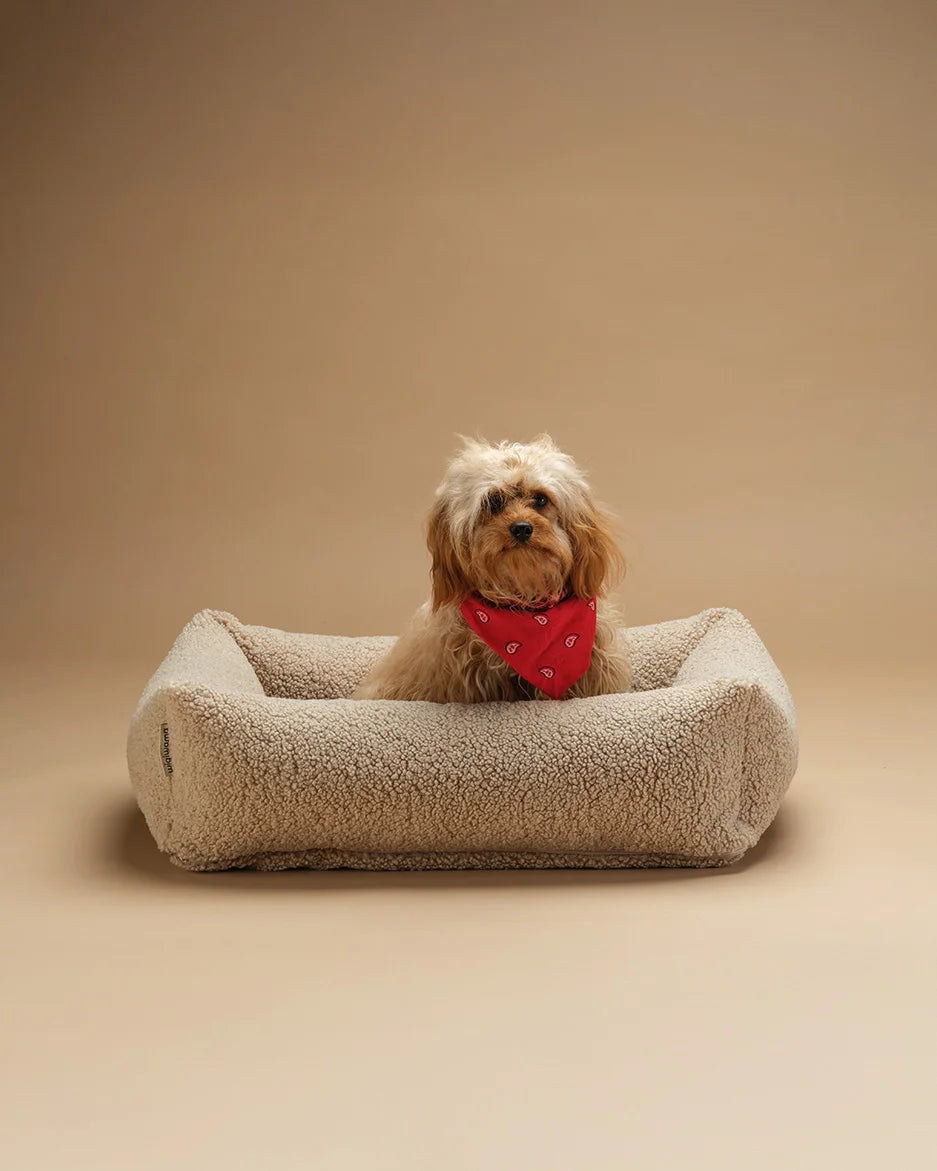wigiwama-haustier-kuschelbett-m-biscuit-teddy-wendbares-hundebett image 4