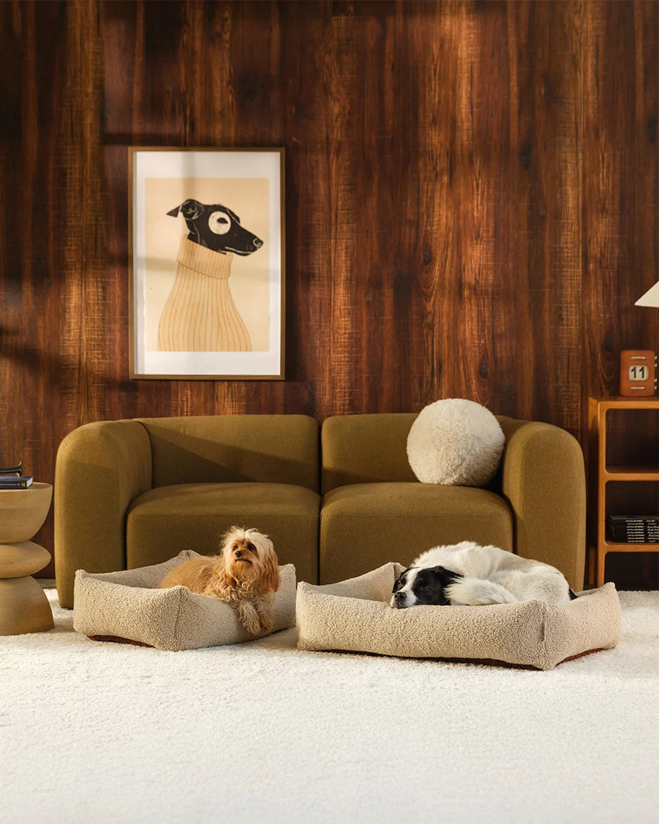wigiwama-haustier-kuschelbett-m-biscuit-teddy-wendbares-hundebett image 7