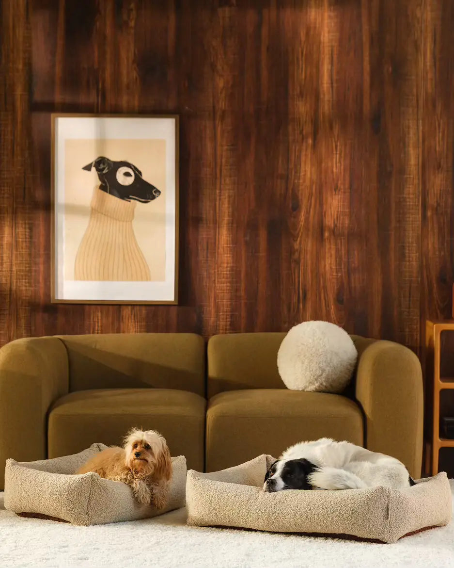 wigiwama-haustier-kuschelbett-l-biscuit-wendbares-teddy-hundebett image 7
